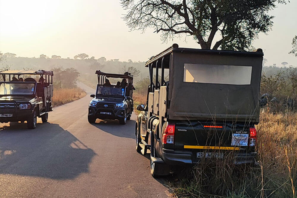 Guided Safaris
