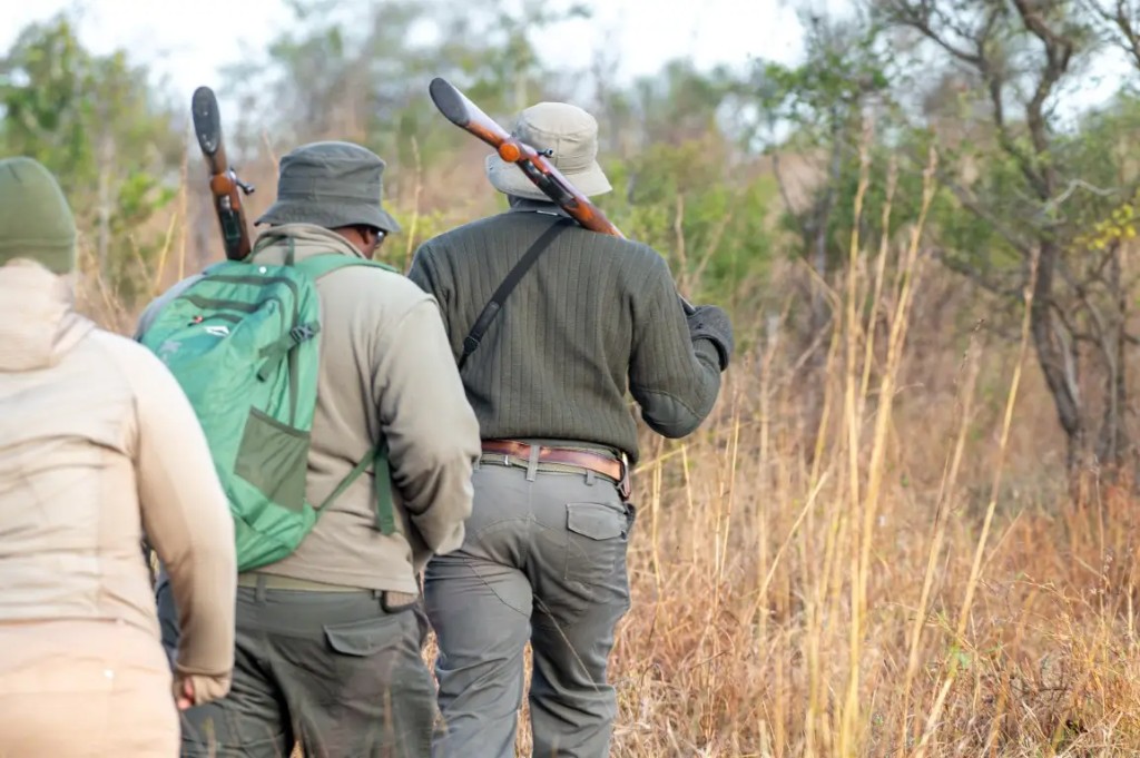 Bush Walks in Kruger: What You Can (and Can't) Do on Foot