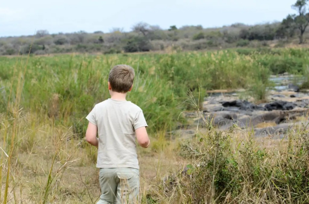 Best Kruger Camps for Families