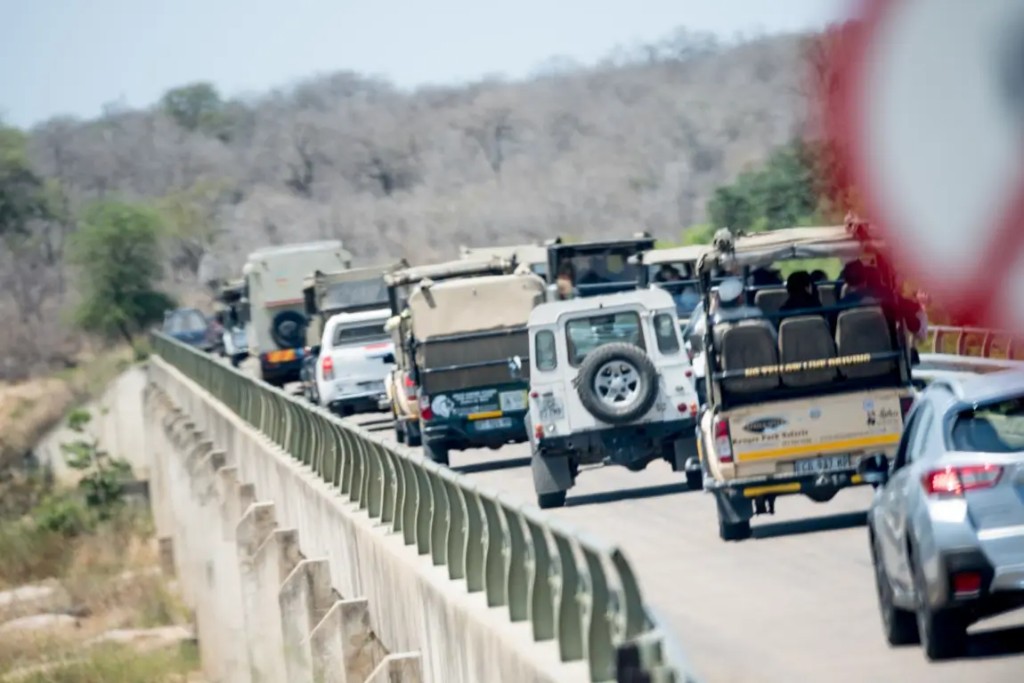 Sighting Traffic Etiquette: Park on the Side and Keep Kruger Moving