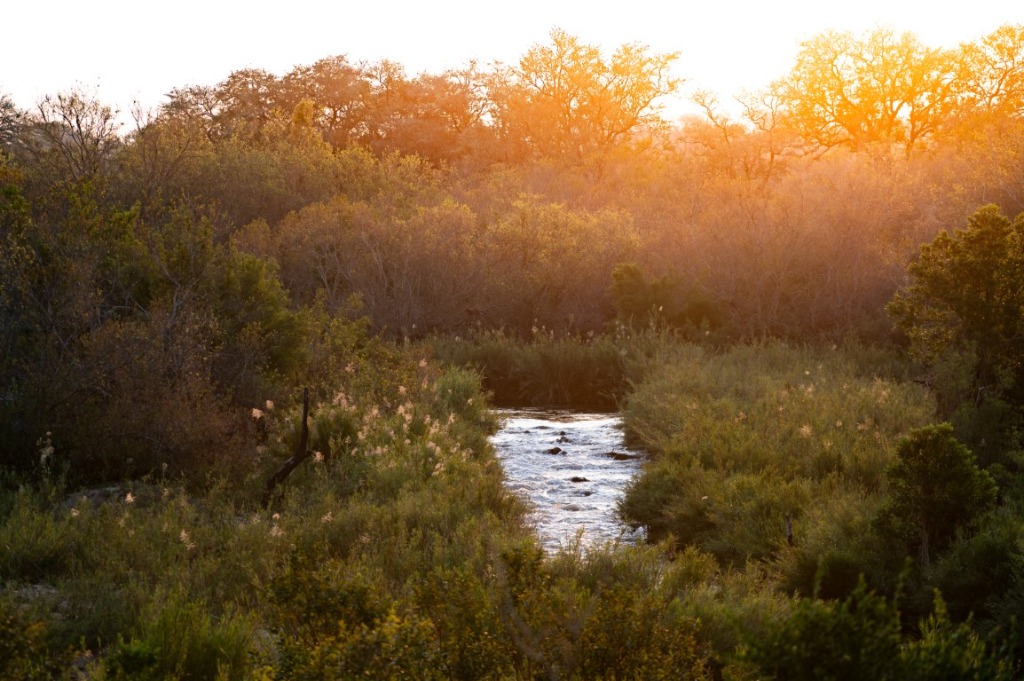 Kruger river healthy ecosystem