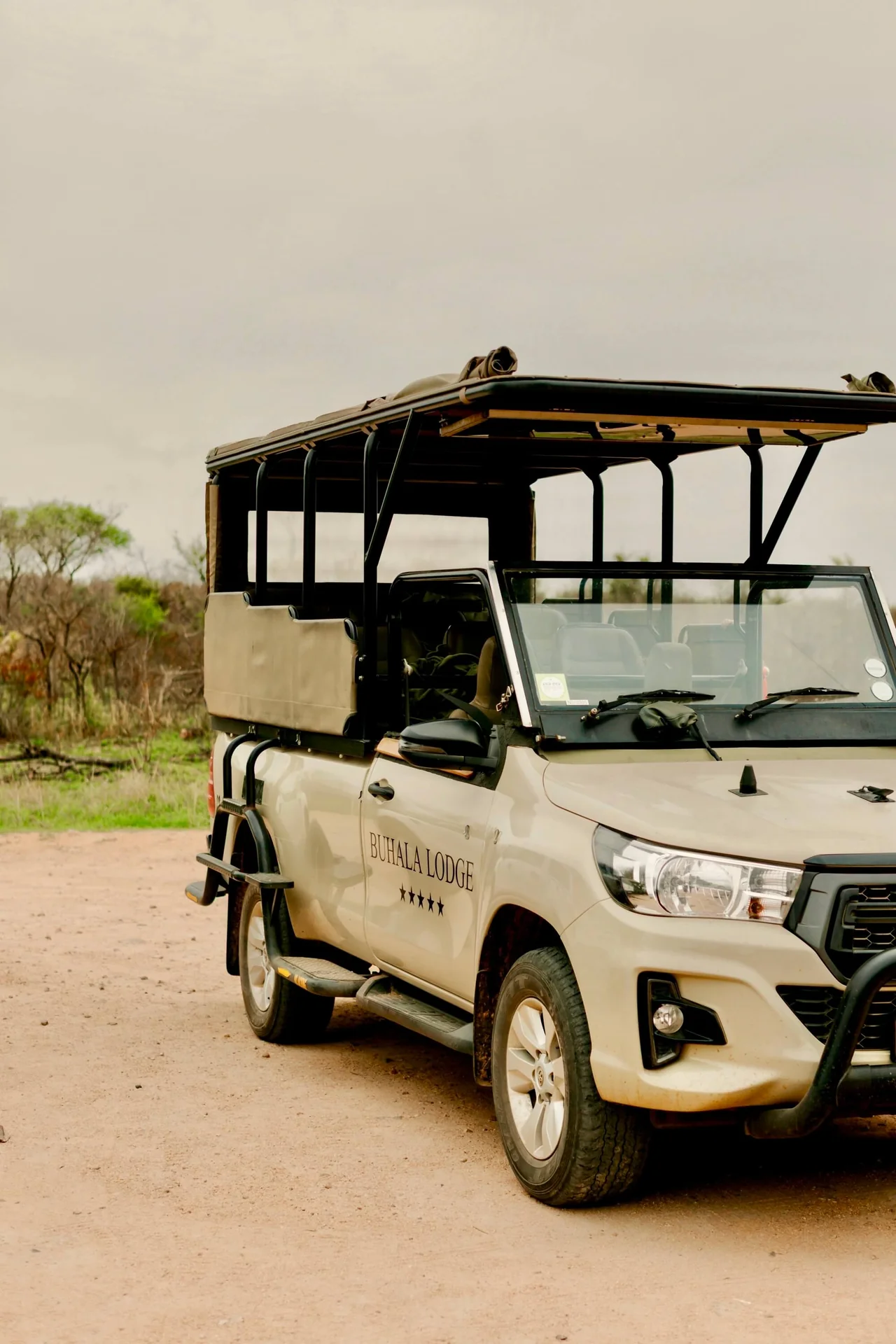 Guided Game Drives